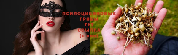 ешки Аркадак