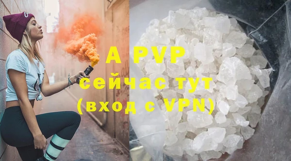 ешки Аркадак